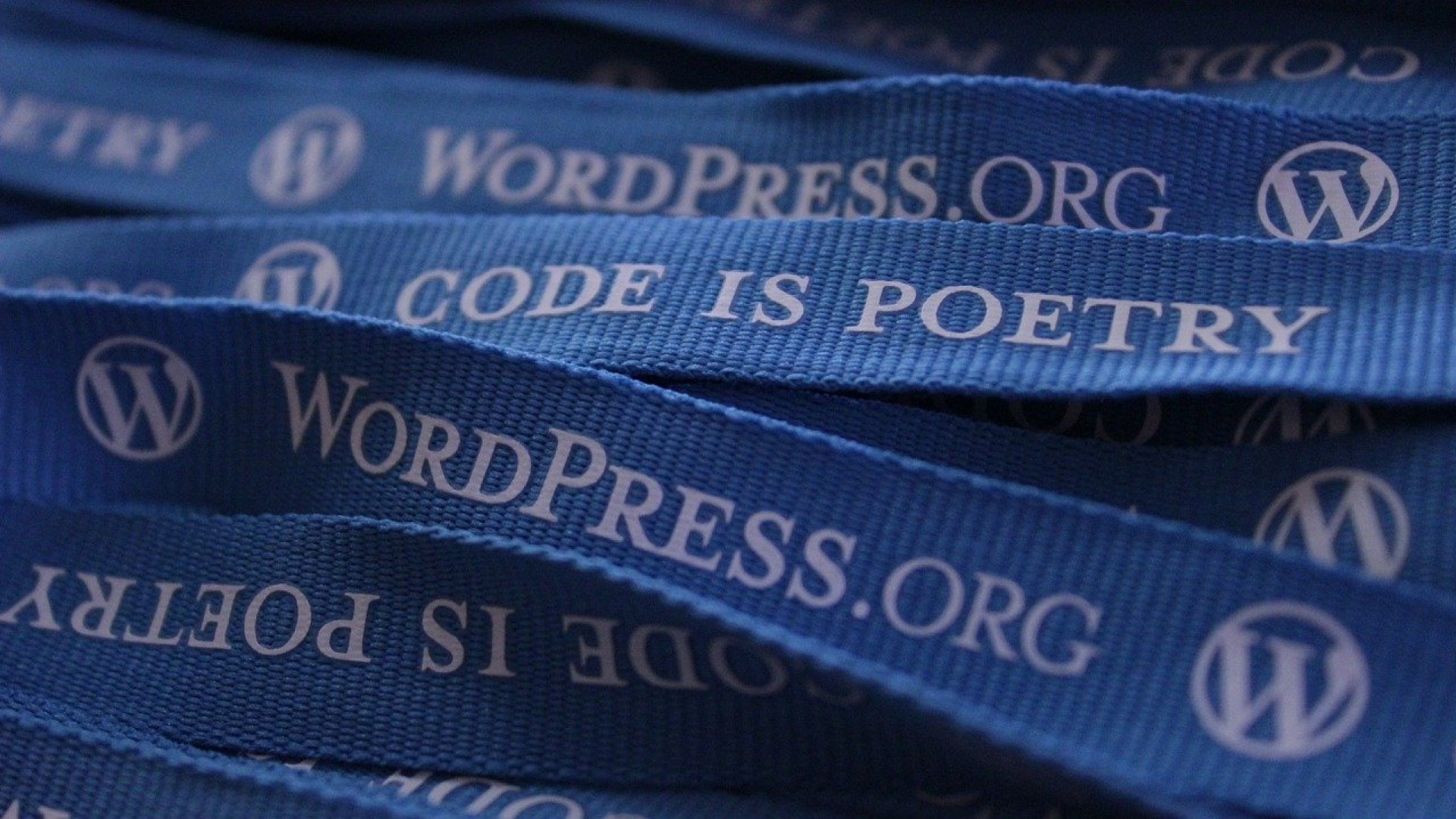 Agence d’assistance WordPress : quels sont les domaines de compétences ?