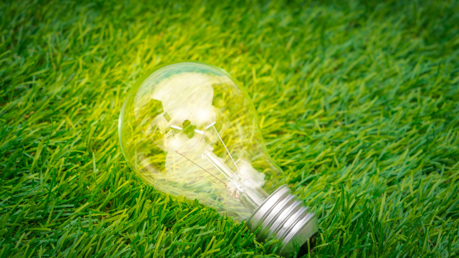 Les fournisseurs d'électricité verte : comment choisir le bon ?